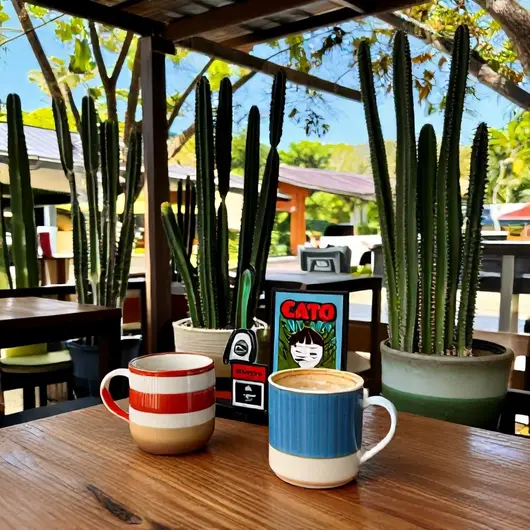 Cacto Café: Um Refúgio de Sabor
