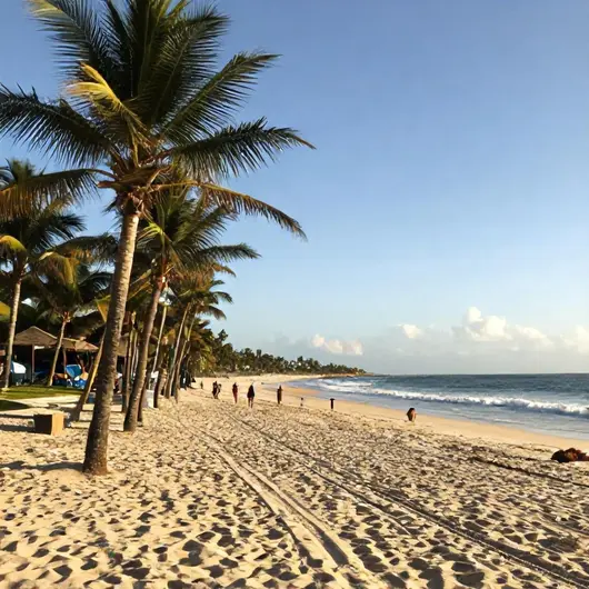 Caminhadas Revigorantes nas Praias de Aracaju