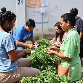 CCTECA intensifica realização de projetos e amplia atendimento ao público em Aracaju CCTECA intensifica realização de projetos e amplia atendimento ao público em Aracaju