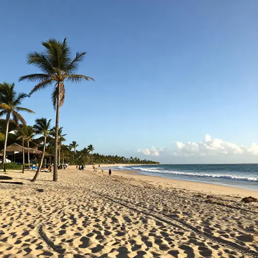 Descubra a Praia Do Farol