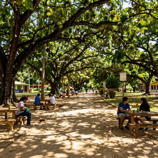 Descubra o Parque dos Cajueiros