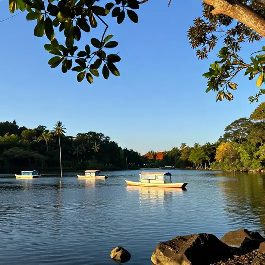 Explorando a Lagoa dos Tambaquis: Um Refúgio Natural em Aracaju