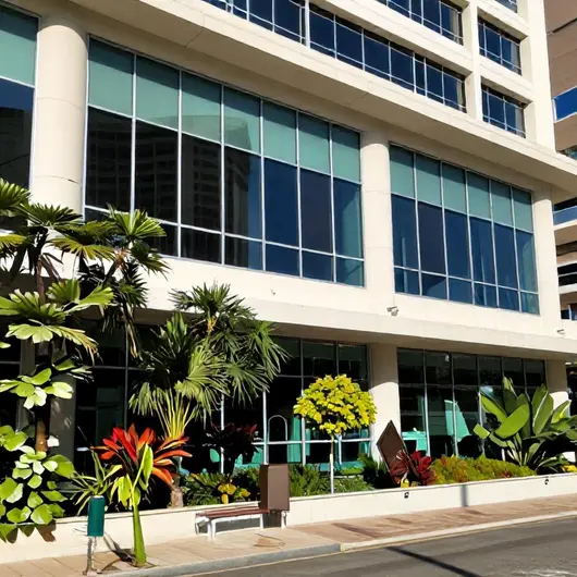 Liv Inteligência Imobiliária: Seu Guia Para Encontrar o Imóvel Perfeito